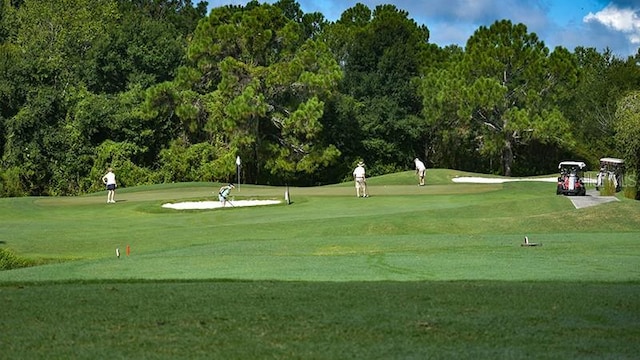 29417 Caddyshack Ln, San Antonio, FL 33576 - view of community with view of golf course, a yard, and view of scattered trees