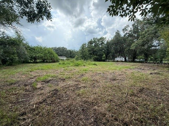 3011 S Wiggins Rd, Plant City, FL 33566 - photo 4