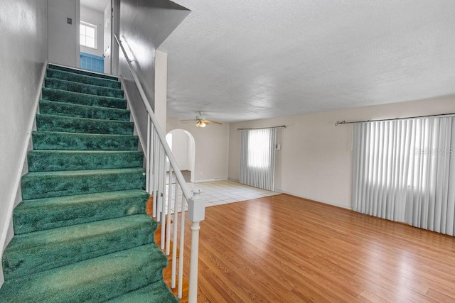 6261 20th St S, Saint Petersburg, FL 33712 - photo 19