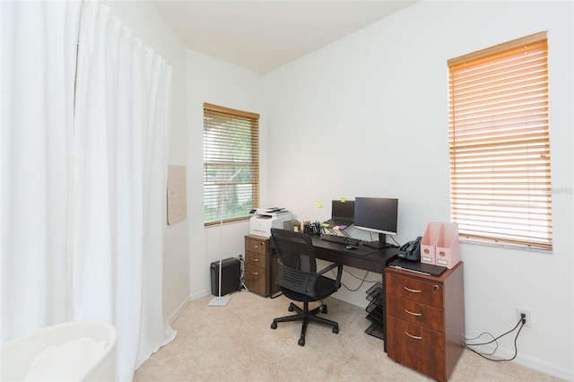 228 Taylor Bay Ln, Brandon, FL 33510 - home office with light colored carpet and baseboards