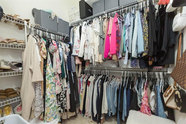 228 Taylor Bay Ln, Brandon, FL 33510 - view of spacious closet