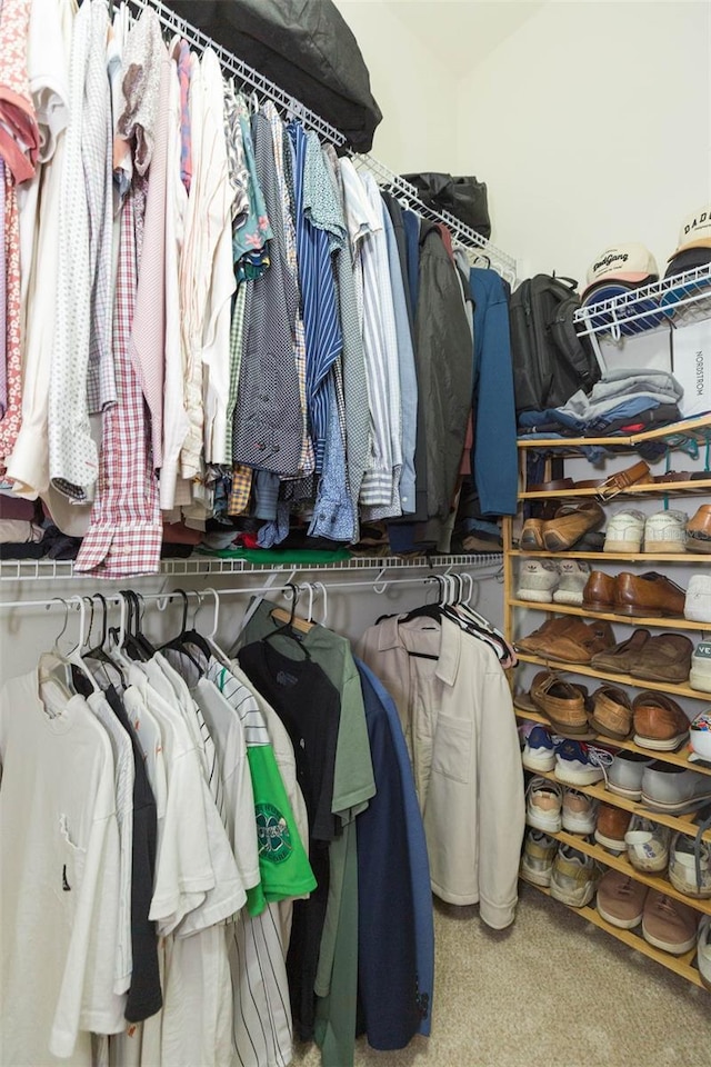 228 Taylor Bay Ln, Brandon, FL 33510 - walk in closet with carpet flooring