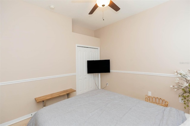 228 Taylor Bay Ln, Brandon, FL 33510 - bedroom with a closet and ceiling fan