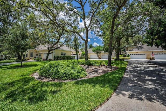 2177 Oak Forest Ln, Palm Harbor, FL 34683 - photo 3