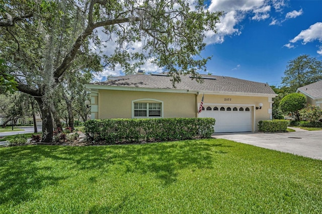 2177 Oak Forest Ln, Palm Harbor, FL 34683 - photo 4
