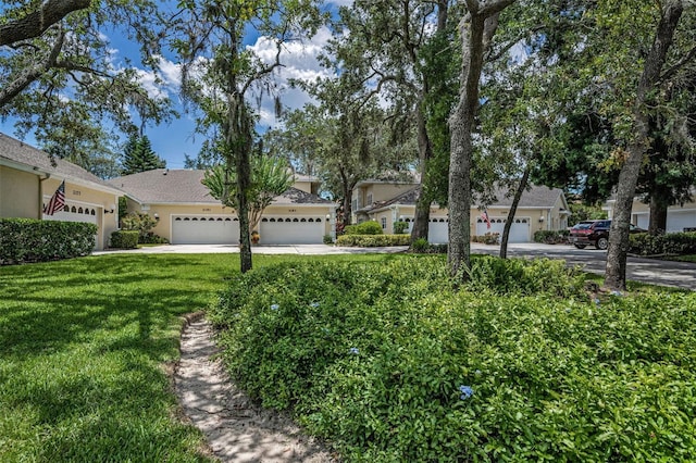 2177 Oak Forest Ln, Palm Harbor, FL 34683 - photo 5