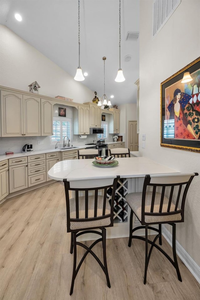 2177 Oak Forest Ln, Palm Harbor, FL 34683 - photo 22