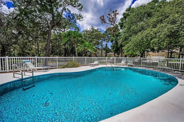 2177 Oak Forest Ln, Palm Harbor, FL 34683 - photo 64