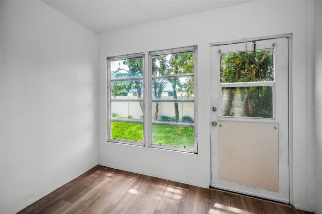 970 Virginia St Unit 109, Dunedin, FL 34698 - entryway with healthy amount of natural light and wood finished floors