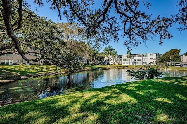 970 Virginia St Unit 109, Dunedin, FL 34698 - water view