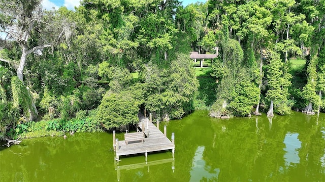 11204 Lake Sassa Dr, Thonotosassa, FL 33592 - photo 87