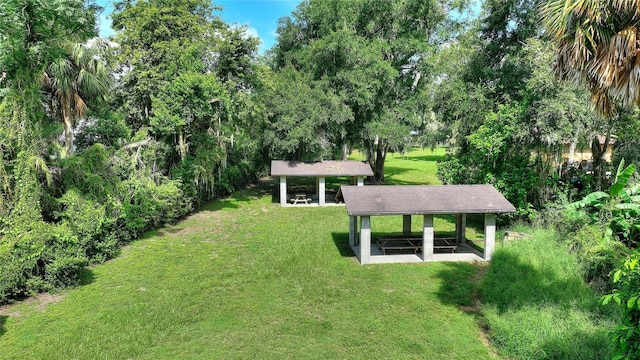 11204 Lake Sassa Dr, Thonotosassa, FL 33592 - photo 82