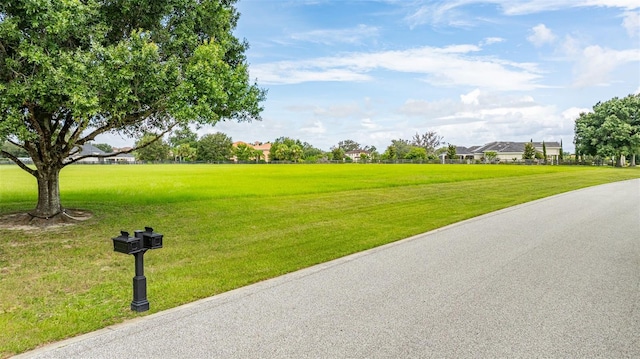 12325 Stonelake Ranch Blvd, Thonotosassa, FL 33592 - photo 11