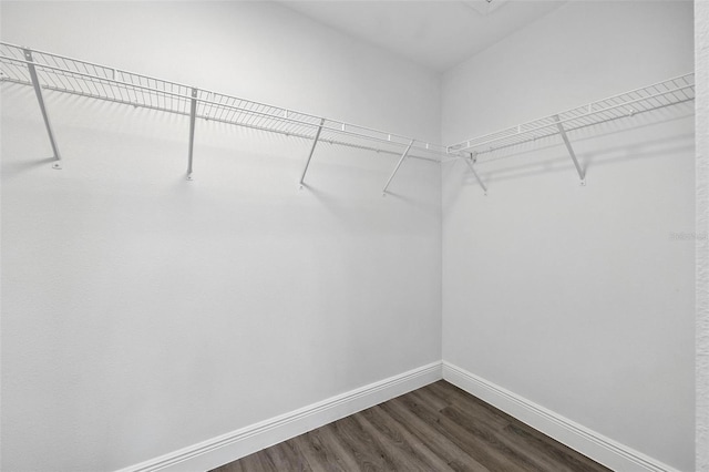 2519 W Hiawatha St, Tampa, FL 33614 - photo 26