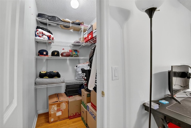 13040 Waterbourne Dr, Gibsonton, FL 33534 - walk in closet featuring light wood finished floors
