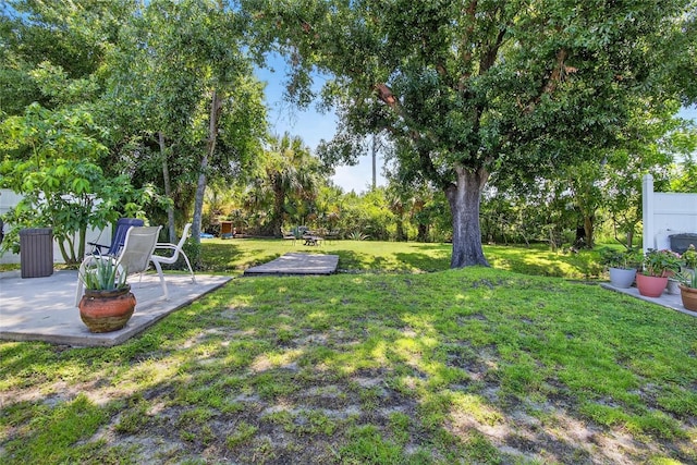 13040 Waterbourne Dr, Gibsonton, FL 33534 - view of grassy yard with a patio area