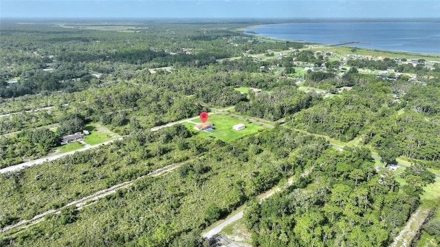 4450 Camellia Dr, Indian Lake Estates, FL 33855 - photo 41