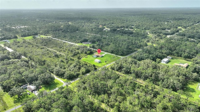 4450 Camellia Dr, Indian Lake Estates, FL 33855 - photo 43