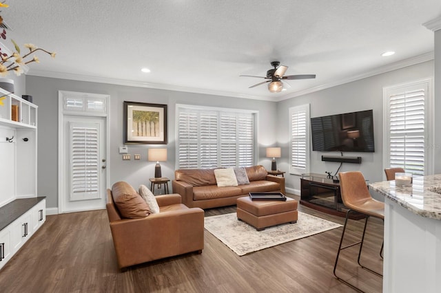9804 Royce Dr, Tampa, FL 33626 - photo 10
