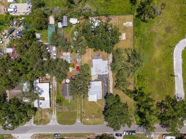 6923 W Mohawk Ave, Tampa, FL 33634 - photo 14