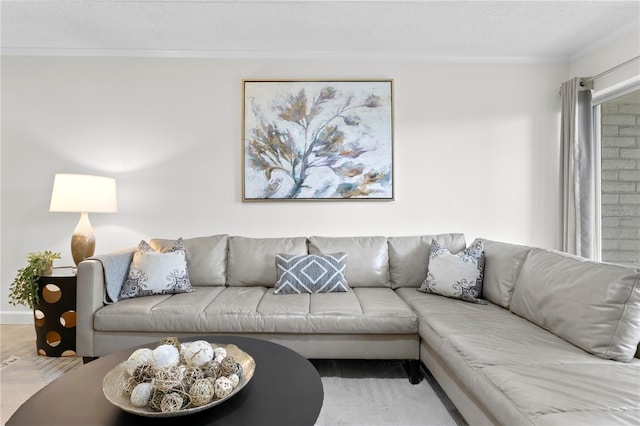 3325 Bayshore Blvd Unit E14, Tampa, FL 33629 - carpeted living room featuring crown molding