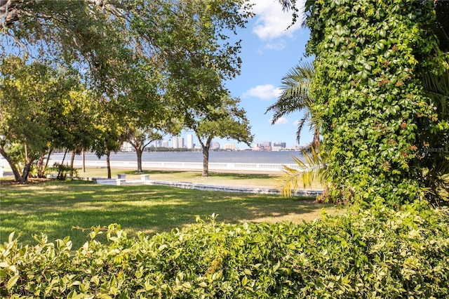 3325 Bayshore Blvd Unit E14, Tampa, FL 33629 - view of community with a lawn