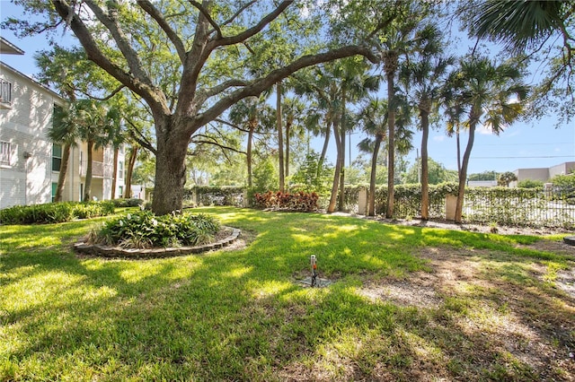3325 Bayshore Blvd Unit E14, Tampa, FL 33629 - view of yard