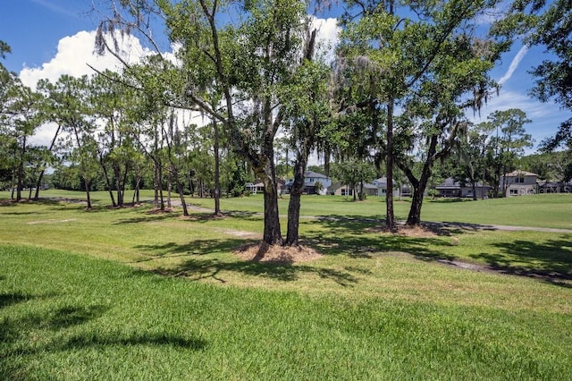 16106 Worlington Pl, Odessa, FL 33556 - photo 19