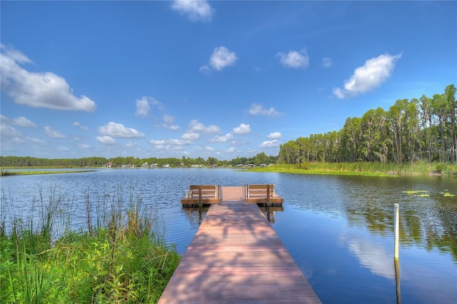 1938 Hammocks Ave Unit 1938, Lutz, FL 33549 - photo 46
