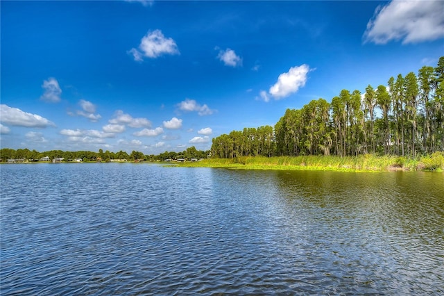 1938 Hammocks Ave Unit 1938, Lutz, FL 33549 - photo 49
