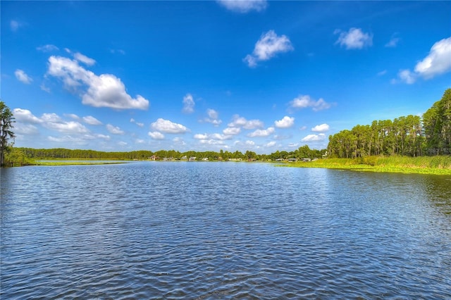 1938 Hammocks Ave Unit 1938, Lutz, FL 33549 - photo 50