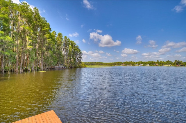 1938 Hammocks Ave Unit 1938, Lutz, FL 33549 - photo 51