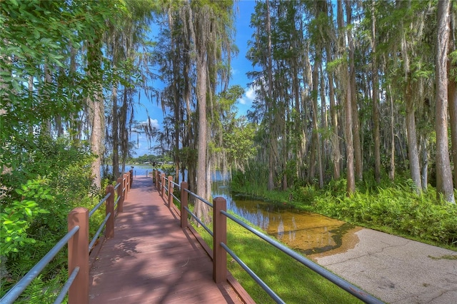 1938 Hammocks Ave Unit 1938, Lutz, FL 33549 - photo 62