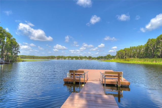1938 Hammocks Ave Unit 1938, Lutz, FL 33549 - photo 63