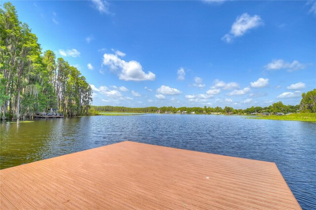 1938 Hammocks Ave Unit 1938, Lutz, FL 33549 - photo 64