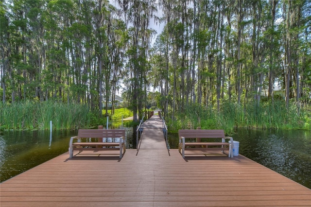 1938 Hammocks Ave Unit 1938, Lutz, FL 33549 - photo 66