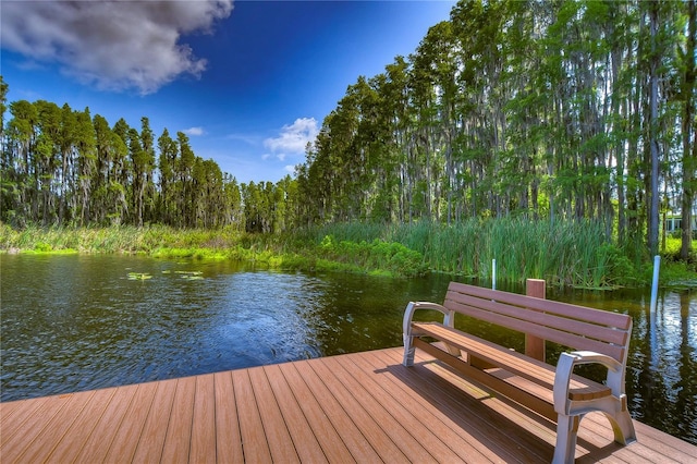 1938 Hammocks Ave Unit 1938, Lutz, FL 33549 - photo 67