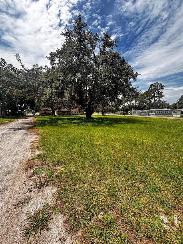 0 15th Ave, Zephyrhills, FL 33542 - photo 5