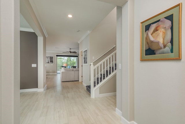 17026 Shell Bay Dr, Land O Lakes, FL 34638 - photo 10