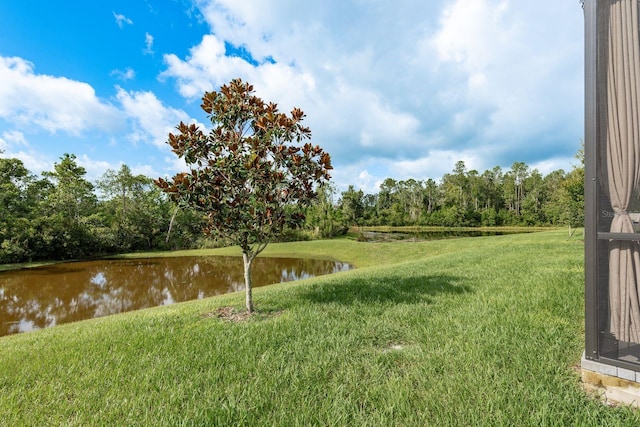 17026 Shell Bay Dr, Land O Lakes, FL 34638 - photo 45