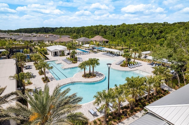 17026 Shell Bay Dr, Land O Lakes, FL 34638 - photo 72