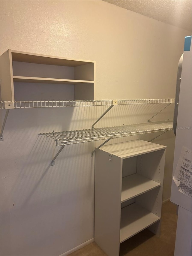 6125 Chesham Dr Unit 1, New Port Richey, FL 34653 - view of spacious closet