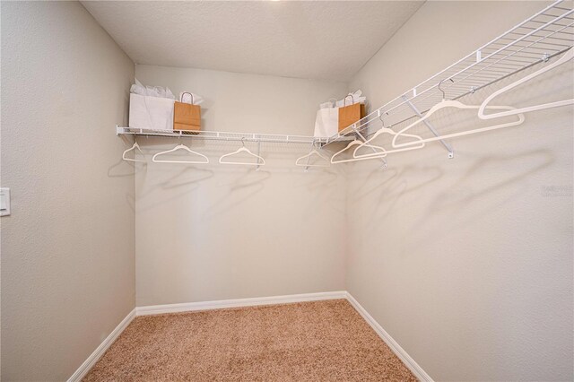 1728 Vanilla St, Haines City, FL 33844 - photo 9