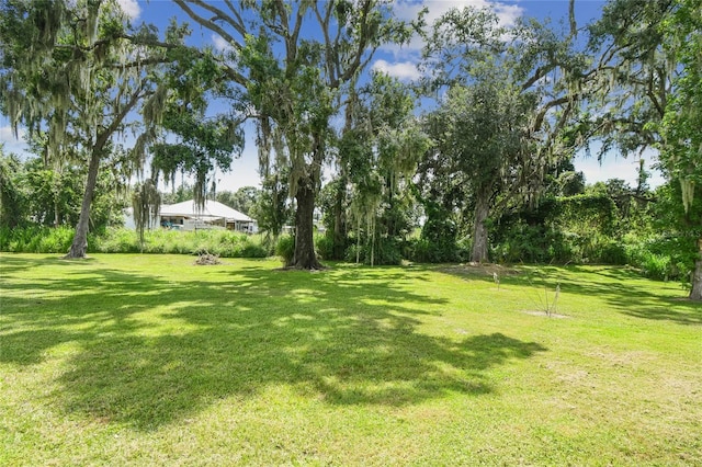4707 Horton Rd, Plant City, FL 33567 - photo 14