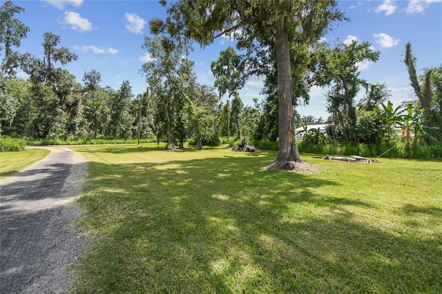 4707 Horton Rd, Plant City, FL 33567 - photo 24