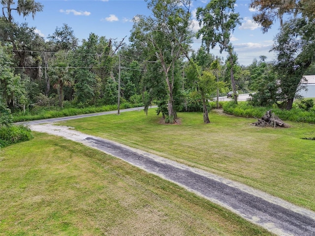 4707 Horton Rd, Plant City, FL 33567 - photo 64