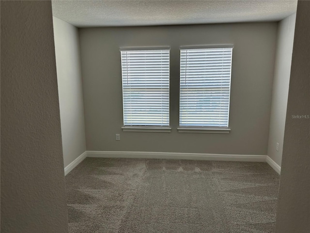6050 Grand Sonata Ave, Lutz, FL 33558 - photo 8
