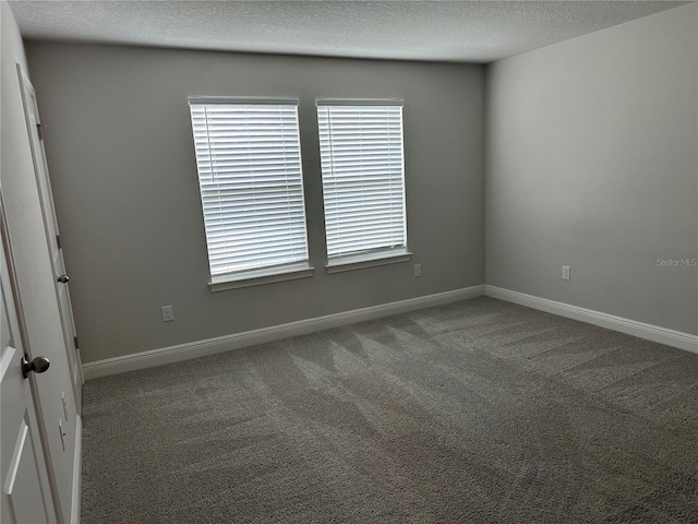 6050 Grand Sonata Ave, Lutz, FL 33558 - photo 10