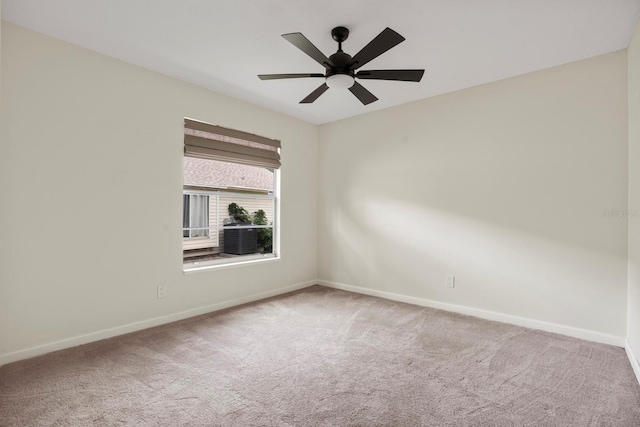 4335 Barret Ave, Plant City, FL 33566 - photo 19