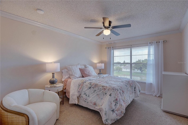 4515 Whitton Way Unit 131, New Port Richey, FL 34653 - photo 19